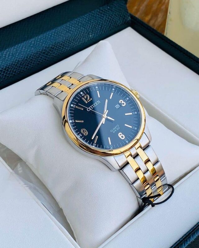 Citizen Men's BI1054-80F