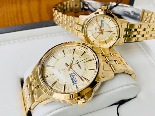 cặp đôi đồng hồ Citizen BF2013-56P và EQ0603-59P